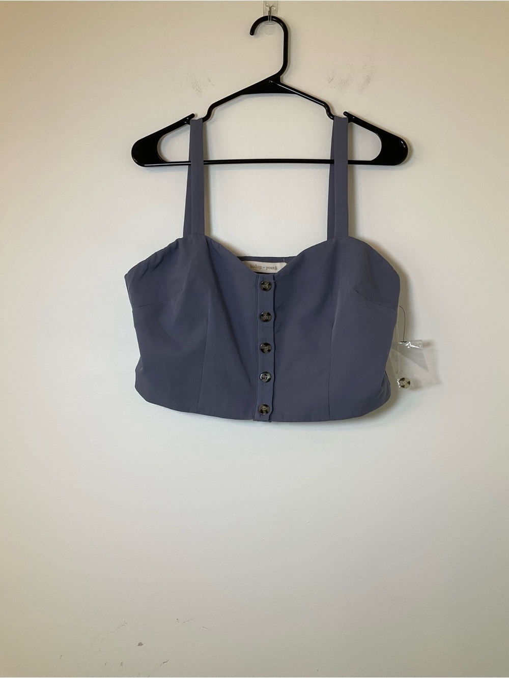 Bishop + Young Blue Cropped Bustier Tank Top NWOT Large